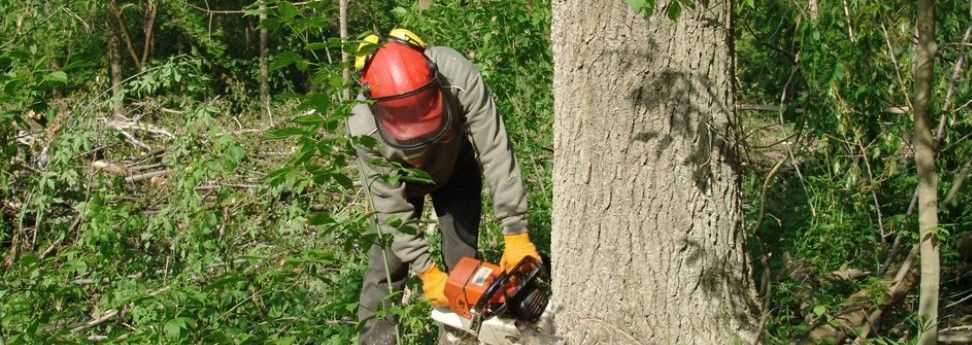 Oktatás, vizsgáztatás